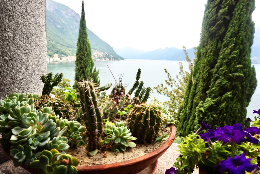 Villa Monastero, Lake Como, Italy